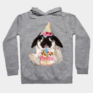 Chio First Birthday _ Holland Lop Rabbit Broken Black Color _ Bunniesmee Hoodie